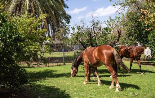 Mesa House | Charming 2-BR Farmhouse Backyard Views