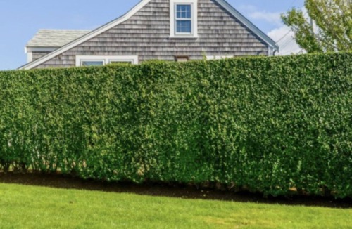 Brant Point Cottage | Charming 4-bedroom and 2 Full Bath cottage in Brant Point location with WiFi, AC
