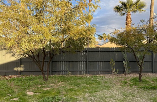 North Dodge House | Charming and private guesthouse in the heart of Tucson