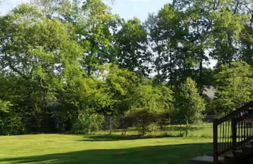Buford House | Charming and Safe Private Suite with a private entrance.