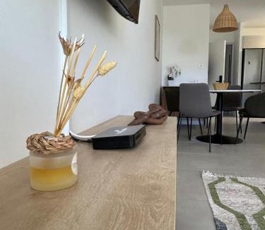 Granadilla Apartment | Charming Apartment in Curridabat