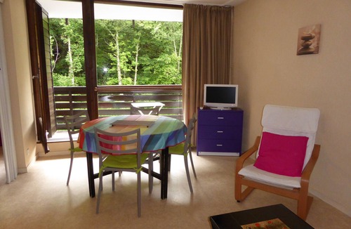 Mont-Dore Apartment | Charming apartment in quiet luxury residence, Mountain View