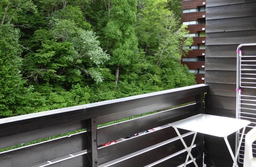 Mont-Dore Apartment | Charming apartment in quiet luxury residence, Mountain View
