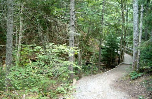 Harvey Cabin | Charming Bed and Breakfast Accommodation in a Peaceful Rural Setting near Alma, New Brunswick