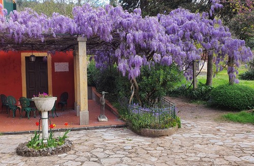 Vicopelago House | Charming Bed & Breakfast Near to Lucca