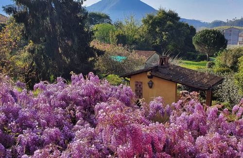 Vicopelago House | Charming Bed & Breakfast Near to Lucca