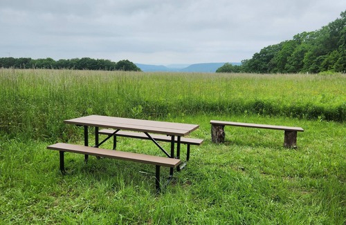 Cohocton Cabin | Charming cabin on 30 acres in the Bristol Hills of New York's Finger Lakes area,