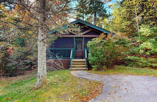 Northport Cabin | Charming cabin retreat with fireplace, kitchen, nearby hiking - dog-friendly