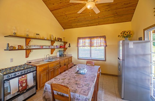San Antonio Cabin | Charming cabin with private balcony, lush views & eco-friendly features