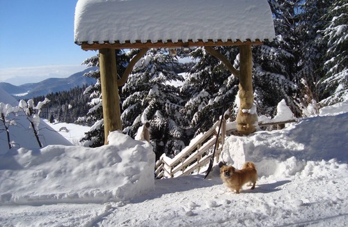 Paka Ski Chalet | Charming Chalet Rogla