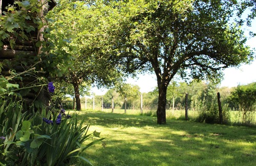 Berfay Cottage | Charming Cottage: Fireplace, Wifi, Bikes, Garden & Garage in Lush Countryside