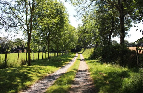 Berfay Cottage | Charming Cottage: Fireplace, Wifi, Bikes, Garden & Garage in Lush Countryside