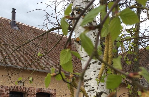 Chauffours House | Charming cottage in the countryside 15 minutes from Chartres and its famous cathedral
