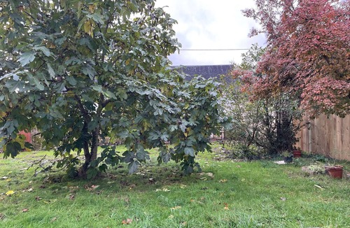 Chahaignes Cottage | Charming Cottage Near Loire Castles, Private Garden, Parking, WiFi, Ideal for Families