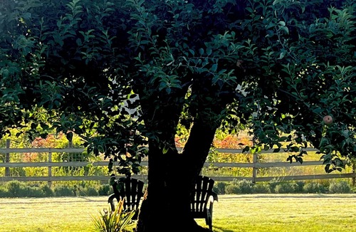 Roseburg Cottage | Charming cottage studio in serene environment perfect for a relaxing getaway