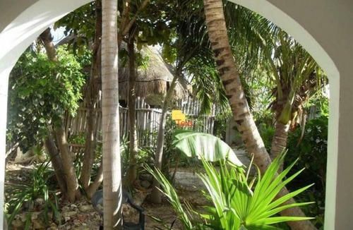 Colonia Salina Chica Apartment | Charming , Economical Studio in wonderful Isla Mujeres with AC, WiFi