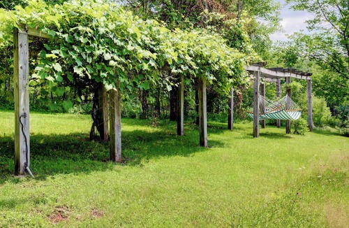 West Kill Cabin | Charming family cabin in the Catskills most secret valley!