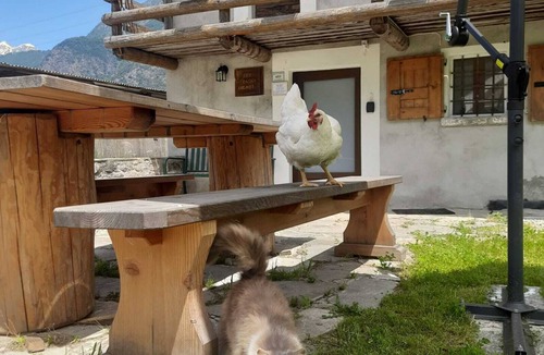 Samolaco Cottage | Charming farmhouse in northern Italy - nature, tranquillity & real agriturismo feeling