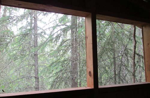 Fairbanks Cabin | Charming forest cabin -sled dogs