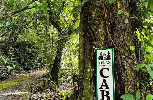Utuado Cabin | CHARMING FOREST LOG CABIN