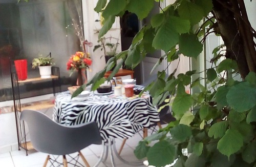 Cosne-Cours-sur-Loire Apartment | Charming little apartment, very comfortable