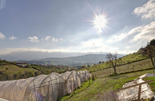 Saint-Romain-en-Jarez Cottage | Charming country cottage near the Pilat