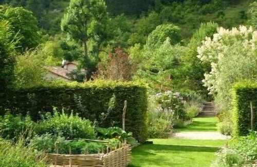 Thonnance-Les-Joinville Cottage | Charming B&B