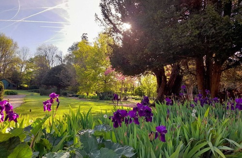 Cour-Cheverny House | Charming gite ideal for visiting Cheverny Blois Chambord Beauval Zoo
