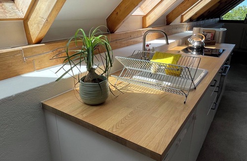 Trarbach Apartment | Charming hideaway - nature, wine and sunsets