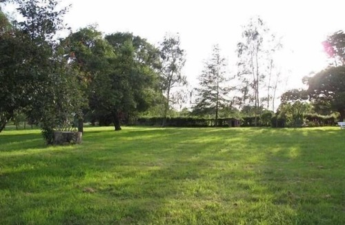 Vallon-en-Sully House | Charming house with large garden on the edge of the Tronçais forest