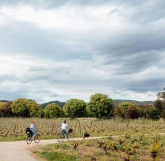 La Peyrade House | Charming House In An Organic Wine Estate