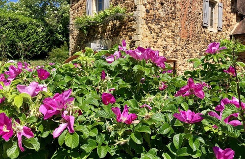 Cenac-et-Saint-Julien House | Charming house with private heated pool and 2 bedrooms, Dordogne, Sarlat