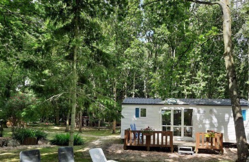 Landebia House | Charming mobile home surrounded by nature in the heart of the Côtes d'Armor.