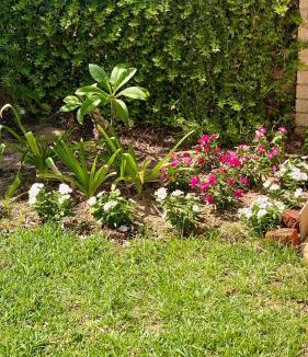 Osborne Park Apartment | Charming Osborne Park Home