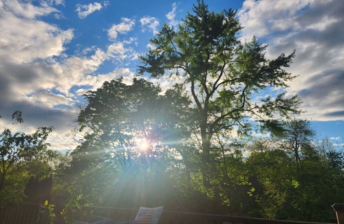 Green Brook House | Charming Park Like Mountain 3-bedroom house in Green Brook Township, N.J. w/AC
