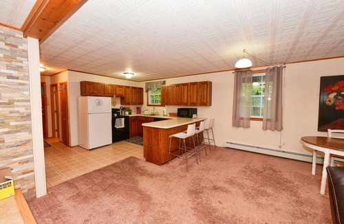 Eidelweiss Village House | Charming Pet Friendly 4-Season Getaway w/Fire Pit & Basement Game Room!