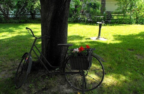 Dresden Cottage | Charming Pet-Friendly Cottage Seconds from Lake near Rochester, New York