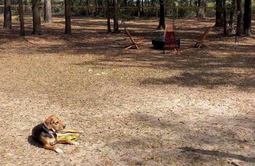 Fellowship House | Charming, Pet-Friendly Retreat - 4min to WEC with fenced in yard + camper setup