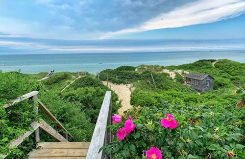 Nantucket Town Cottage | Charming Pet Friendly Cottage