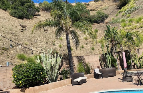 Sun Valley House | Charming Poolside Room in Glen Crest Hills.