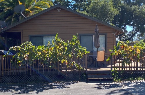 Sonoma Cottage | Charming private Cottage with hot tub in the Countryside of Sonoma