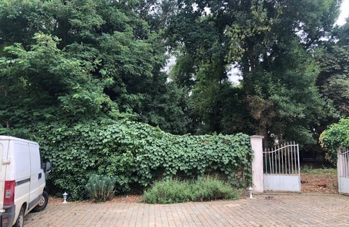 Beaulieu-sur-Loire House | Charming rental with 1 ha park and woods