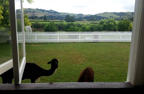 Cambridge House | Charming Room for Two for Romantic Getaway near the Waikato River, North Island