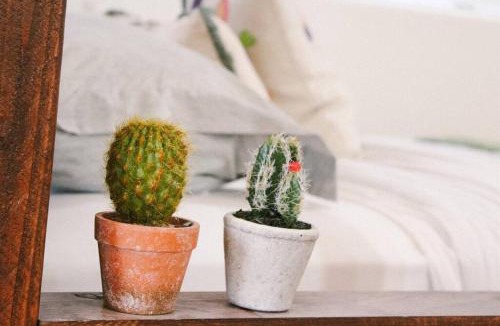 Tempe Apartment | Charming Southwest Studio Blocks to Dntwn Tempe (A)