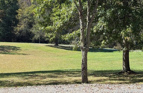 Jumping Branch Cabin | Charming Stay! Cabin #11: Peaceful Retreat in Jumping Branch, WV