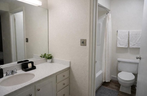 Central City Apartment | Charming Studio Amazing Location King-Size Bed