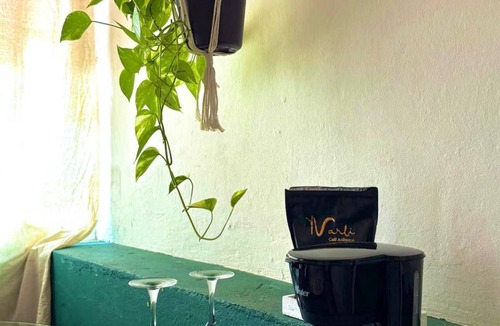 Centro Apartment | Charming studio in Col. La Madera Beach - local vibe