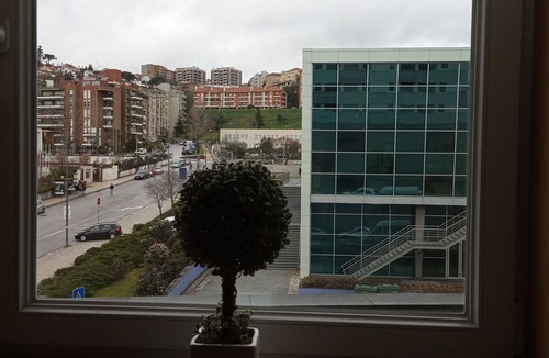 Santo Antonio dos Olivais Apartment | Charming studio in the heart of the city of Coimbra