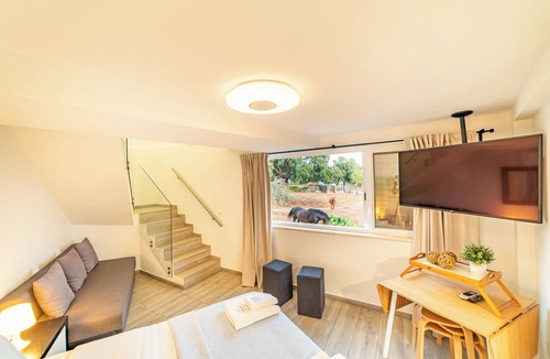 Alcacer do Sal Hotel | “Charming Studio Retreat in Alcácer do Sal – Perfect for Relaxation”