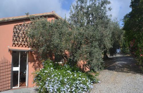 Castagneto Carducci House | Charming Tuscan Home Wi-Fi